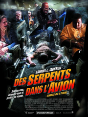 Des Serpents Dans L
